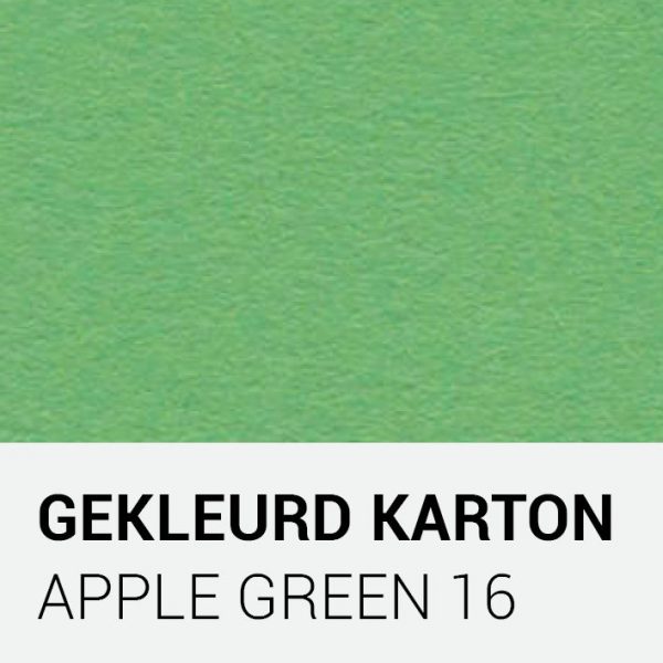 Gekleurd karton - Apple green 16