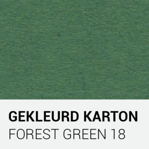 Gekleurd karton - Forest green 18
