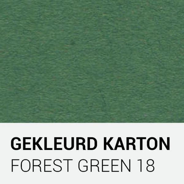 Gekleurd karton - Forest green 18