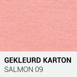 Gekleurd karton - Salmon 09