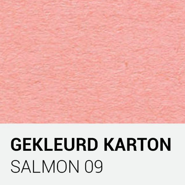 Gekleurd karton - Salmon 09