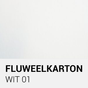 Fluweelkarton - Wit 01 - 30,5