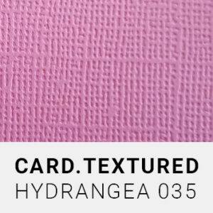 Textured florence - Hydrangea 035